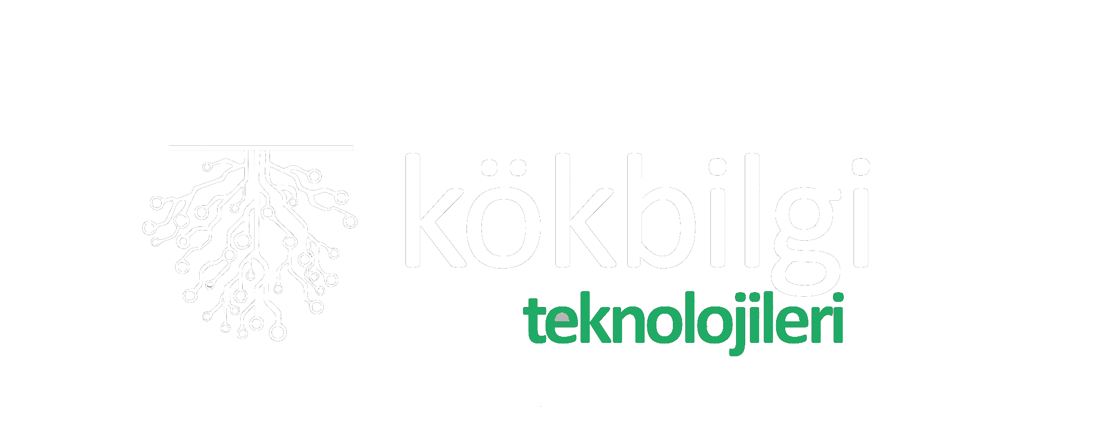 Kök Bilgi Teknolojileri